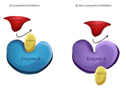 Enzyme Inhibition - Types of Inhibition - TeachMePhysiology