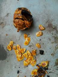 Image result for Strychnos usambarensis