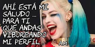 Pin En Harley Quimm Mi Locura Es 100 Natural