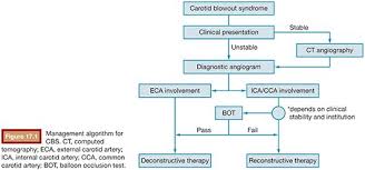 We did not find results for: Carotid Blowout Syndrome Radiology Key