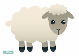 مشعل النهدي mashme81 on pinterest see collections of their favorite ideas. Ldpylrg8p6viwm