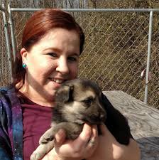 Dog-friendly restaurants in Sandusky with heated patios?