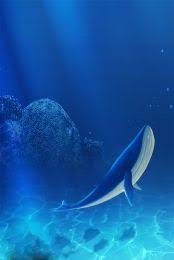 الحوت الأزرق أسفل الحوت فلم الخلفية التوضيح In 2021 Blue Sea Whale Blue