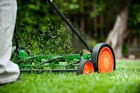 Knowing how to mow a lawn can make the difference between a lawn that you're proud of and one that looks weak and stressed. Mow The Lawn Meaning In Tamil