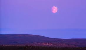 The pink moon appears during the same month as the lyrid meteor shower and in 2021, it will also be the first super full moon of the year. Zdtr6tulyf6pim