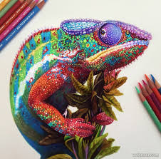 See pencil drawing stock video clips. 50 Beautiful Color Pencil Drawings From Top Artists Around The World