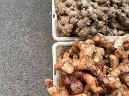 Image result for Ginger