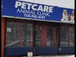 Match made on care.com every 3 minutes, so find your perfect pet care provider today. Petcare Animal Clinic 13 Photos 130 Reviews Veterinarians 4373 156th St Flushing Ny Phone Number