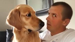 LETTING COMPLETE STRANGERS WAX US **At PennState**