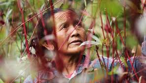 Creating Futures In Bali • The Yak Online