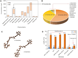Pome is the main cause of environmental pollution due to its high acidity, high tertiary systems have been developed as new systems to provide effluent treatment in a more sustainable. Membrane Based Zero Sludge Palm Oil Mill Plant
