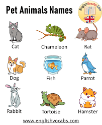 This represents perhaps the most complete picture of the most common names in the united states. Animals Archives English Vocabs