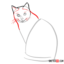 Draw two circles as guides for the first part of the siamese cat's body. How To Draw The Siamese Cat Sketchok Easy Drawing Guides