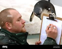 Savage sam hi-res stock photography and images