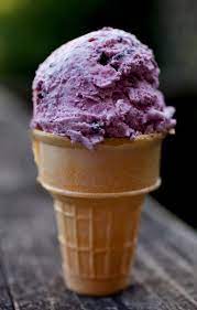 Egg Free Ice Cream Lets Flavors Bloom Published 2010 Soft Serve Ice Cream Soft Serve Ice Cream Recipes Ice Cream Recipes