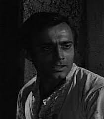 Alejandro Ray's Instagram, Twitter & Facebook