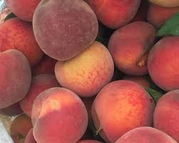 It's a great science experiment—and an easy houseplant for a college dorm room. How To Grow Peach Trees In The Desert Gardening In The Desert