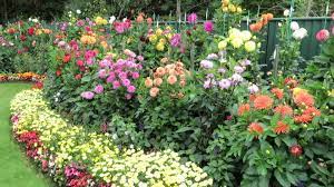 Pin On Garden Designs
