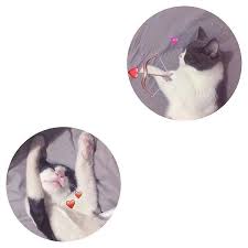 All the wands were stolen in the middle of the night! Matching Profile Pictures For Best Friends Disney Novocom Top