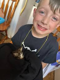 Woman finds comfort in adopted cat after loss