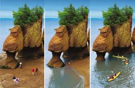 What Time Does The Tide Come In Bay Of Fundy Alqurumresort Com