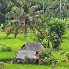 Kalian pasti tidak aneh dengan fenomena ini, mengingat indonesia adalah salah satu negara kepulauan terbesar di dunia. Gambar Pemandangan Kampung Gambar Viral Hd