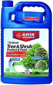 Bayer Advanced 701615 12 Month Tree And Shrub Protect And Feed Concentrate 1 Gallon Bayer Advanced Shrubs Trees And Shrubs