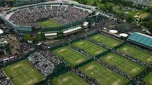 .кг клубники, 10.000 л сливок); Wimbledon 2020 Abgesagt Rasen Klassiker Fallt Corona Krise Zum Opfer Eurosport