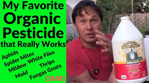 Garden pest control is a constant battle in an organic garden but your body (and the environment) will thank you! My New Favorite Natural Organic Pesticide That Really Works Youtube