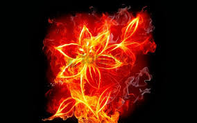 Download red wallpapers hd, beautiful and cool high quality. Cool Fire Backgrounds Background Best Stock Photos Toppng