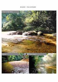 Kebun bunga begonia lembang via travelicious.co.id. Sekebun Bunga Ratu Rening Residency Rumah Tetamu Untuk Disewa Di Batang Kali Selangor Malaysia