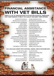 Veterinary Emergency Here Are Some Companies That Can Lend Assistance In Your Time Of Need Vet Bills Canine Cancer Awareness Cat Illnesses