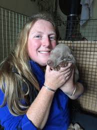 Training success with impossible dogs. Bristol Dog School Blog