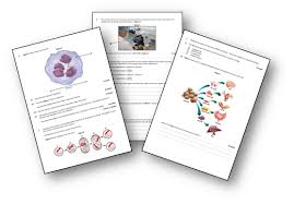 Practice Exams For Gcse Aqa Biology