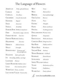 The Language Of Flowers Bees And Bubbles Language Of Flowers Flower Meanings Book Writing Tips
