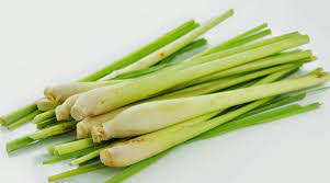 Serai makan ialah sejenis tanaman rumput yang beraroma dan mempunyai rimbunan daun yang lebat. Riding Java 15 Daun Serai Benefits To Health Beauty Skin