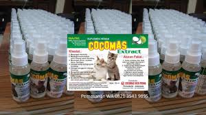 Pin Di Obat Flu Kucing
