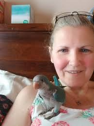 Parrots for rehoming in Deltona, Florida area