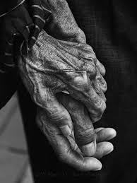 Black And White Photography People Full Body I Ll Love You More Each Day As We Grow Old Together Kitten Black And White Bodies Hand Photography Black And White Photography