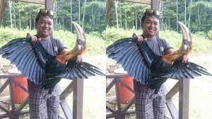 Jenis burung rangkong indonesia dan gambarnya. Dikecam Pria Yang Ingin Makan Burung Enggang Hapus Akun Instagram Netizen Usut Sampai Tuntas Tribun Kaltim