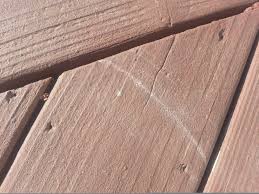 Patio furniture, bbq grills, kids toys, and even the family dog's nails can all leave gouges in the composite decking. Dogs And Behr Deckover Small Change In My Deck