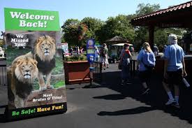We did not find results for: Brookfield Zoo Slowly Reopens To The Public Chicago Tribune