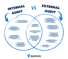 Internal Audit Vs External Audit Infographic Ageras In 2020 Internal Audit Audit Accounting And Finance