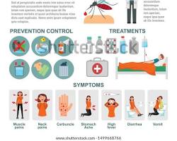 صورة Dengue fever vs flu symptoms infographic