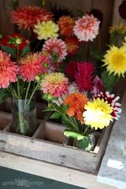 When cut flowers have been left out of water for any length of time, cells start to form over the cut ends of the stems, which will prevent the stems from taking up water readily. Bouquet Gardens The Best Cutting Flowers Growing Harvesting Tips