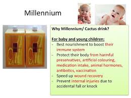 Health benefits of cactus edible cactus is rich in nutrients and other multifunctional properties. Wholistic Lifestyle Why Millennium Cactus Juice For You Your Family During Zika Period