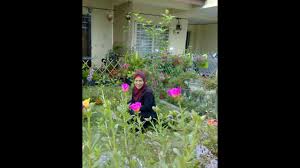 Bunga ros pelangi, bunga ros putih, bunga ros hitam, pokok ros jepun, dan koleksi ros jepun. Kay Maria Masak Pokok Ros Jepun Jadi Sayur By Kay Maria Actress