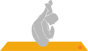 What Is Dwi Pada Sirsasana Definition From Yogapedia