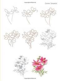 How To Draw Flowers In Simple Steps Janet Whittle 9781844483266 Amazon Com Books Flower Drawing Flower Drawing Tutorials Floral Drawing