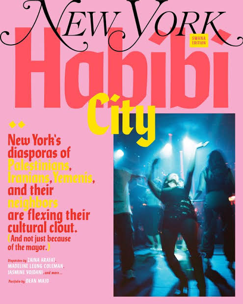 A collage showing the New York Magazine 'Habibi City' cover alongside headlines from criticizing media outlets.